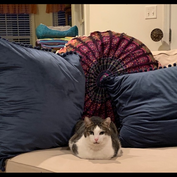 Meet your Posher, Kristie - Picture 3 of 3